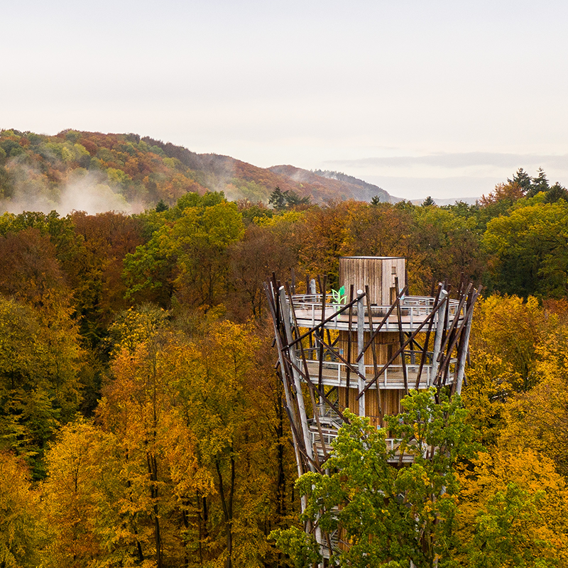 Herbst am Baumwipfelpfad Bad Iburg